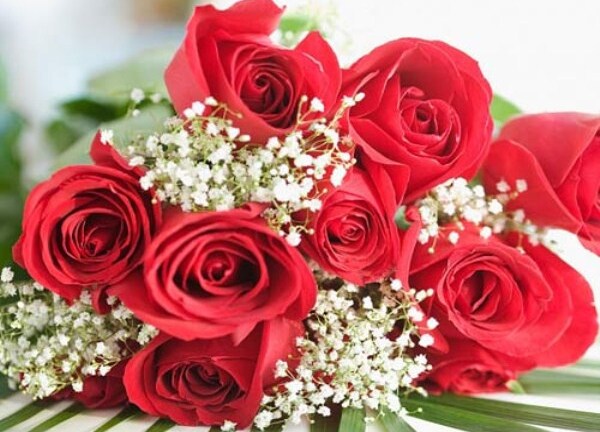 Chọn quà 8/3 ý nghĩa dành tặng mẹ yêu