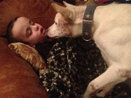 Tình bạn cảm động của chú chó suýt làm mồi nhậu và cậu bé tự kỷ