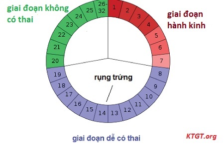 Tính ngày tránh thai như thế nào để an toàn?