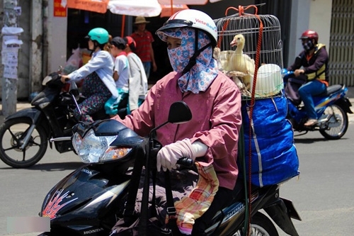 Miền Nam nắng to, mặc cho miền Bắc mưa rét