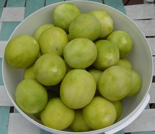 Cách làm nước chanh muối ngon chuẩn như ngoài hàng