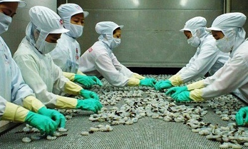 Vì sao cả nhà đại gia tôm 