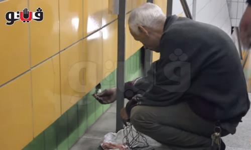 Sức sống kỳ diệu của chú mèo bị mắc kẹt trong tường suốt 5 năm