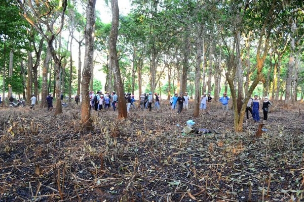 Thi thể người đàn ông nằm giữa đám cây cỏ cháy