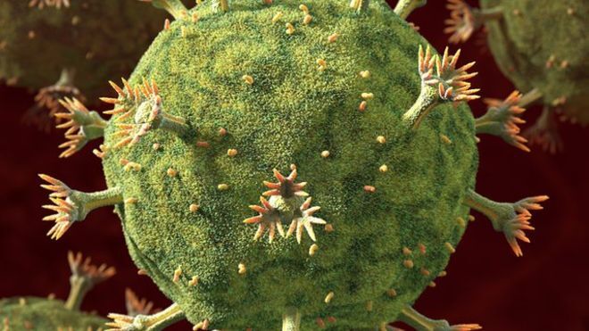 Hứa hẹn tìm ra cách tiếp cận mới chống lại HIV