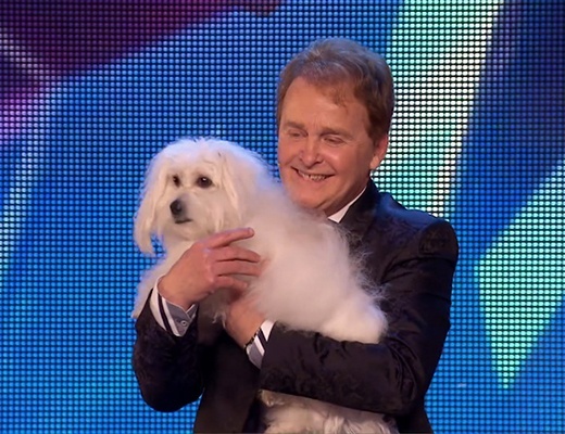 Chú chó nói được tiếng Anh bị nghi ngờ gian lận