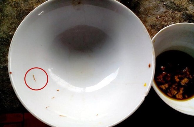 Đỉa bò lúc nhúc trong cua đồng, chuyên gia nói gì?