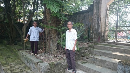 Gỗ sưa dân trồng, chính quyền đòi bán, dân có thể kiện