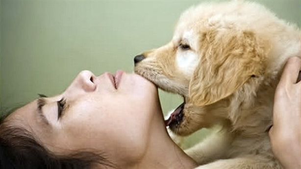 Đan Mạch chính thức cấm quan hệ tình dục với động vật