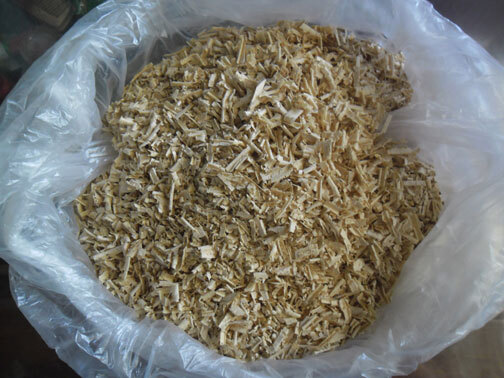 Hồi sinh nhờ bài thuốc lạ sau khi bị bệnh viện trả về