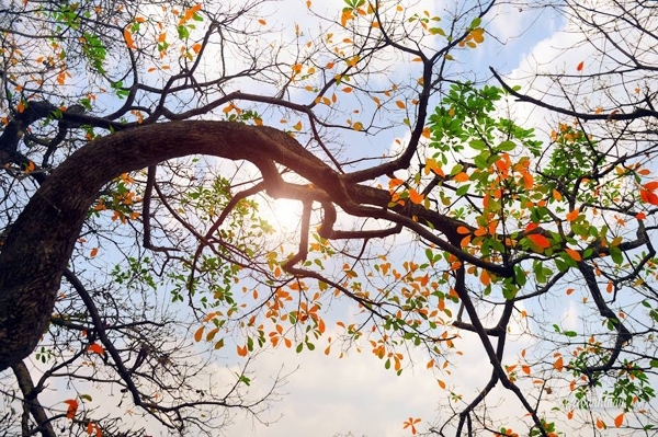 Dự báo thời tiết ngày 30/4: Thời tiết thuận lợi cho ngày đại lễ