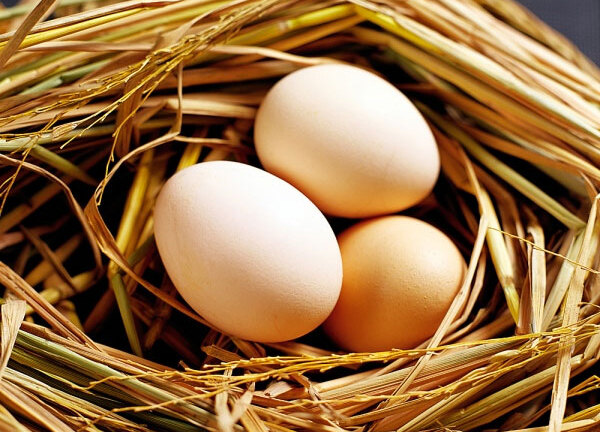 Những thực phẩm ăn cùng với trứng gà sẽ gây nguy hiểm