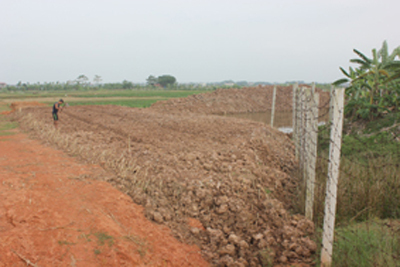 Chuyển mục đích sử dụng đất trái pháp luật bị xử phạt thế nào?