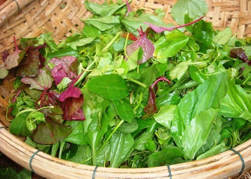 Canh rau tập tàng ngon giải nhiệt ngày hè
