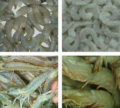 Cách làm tôm khô vừa ngon vừa rẻ lại siêu sạch