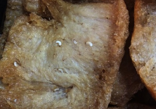 Giòi bò lúc nhúc trong sườn non chay đóng gói