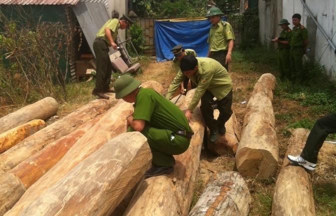 Phát hiện, thu giữ hơn 8 mét khối gỗ lậu “vô chủ”