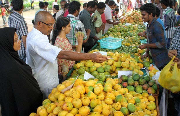 Nguy cơ hỏng mắt vĩnh viễn vì ăn xoài chứa hóa chất thúc chín