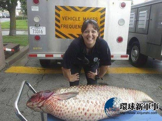 Bất ngờ bắt được cá chép khổng lồ trong rãnh nước thải 