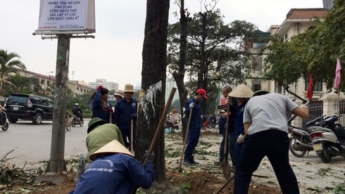 Vụ chặt cây xanh Hà Nội đã có kết luận xử lý chính thức 