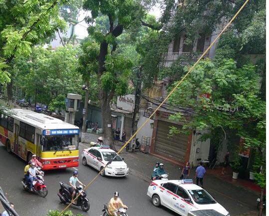 Cành cây bị gãy rơi trúng người đi đường tại Hà Nội