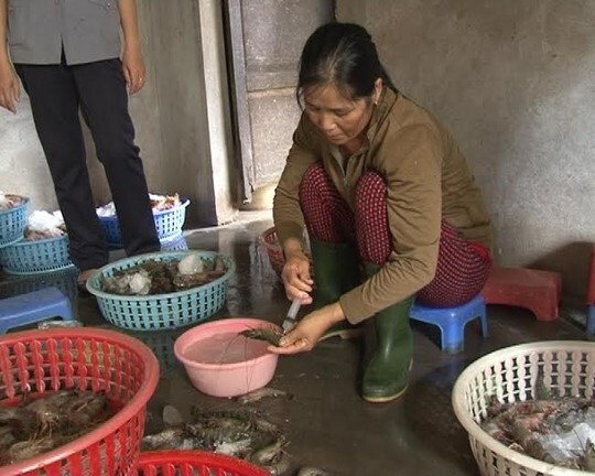 Tôm bơm tạp chất: Phát hiện rất dễ