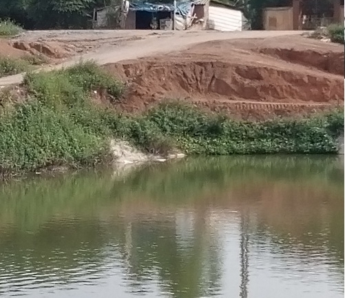 Bí ẩn cái chết của nam sinh viên dưới hồ sen