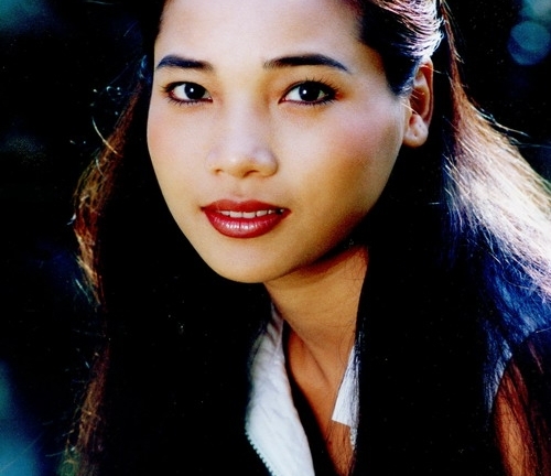 Cuộc sống xa xứ của những nữ diễn viên Việt lấy chồng Tây