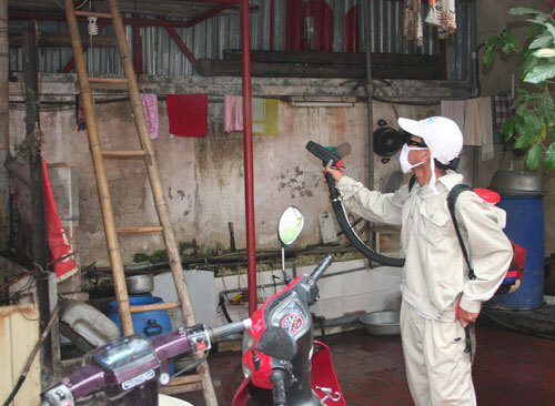 Bộ Y tế khuyến cáo không tự ý điều trị sốt xuất huyết tại nhà