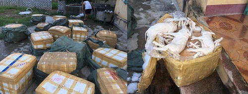 Thu giữ 1,1 tấn thịt lợn con không rõ nguồn gốc  "đi " trên xe khách