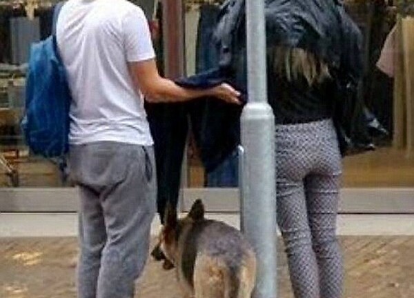 Xúc động bức ảnh cặp đôi cởi áo khoác che mưa cho chú chó lạ