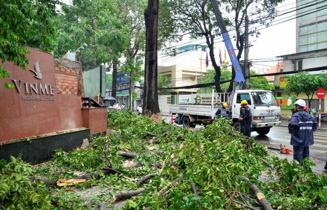 TP.HCM: Mưa giông khiến cây xanh gãy làm nhiều người bị thương