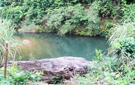 Tắm suối, một cán bộ rừng phòng hộ chết đuối thương tâm