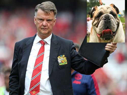 Học trò sợ Van Gaal vì có khuôn mặt giống… chó Bull