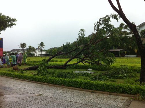 Các tỉnh miền Trung hối hả phòng chống bão số 3