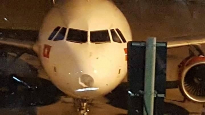 Máy bay lõm đầu vì đâm phải chim