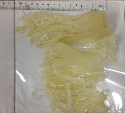 Vi cá mập làm từ nhựa dẻo: Làm sao chọn được vi cá mập thật?