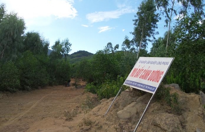 Lợi dụng thăm dò khoáng sản, doanh nghiệp 