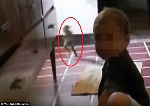 Phát hiện sinh vật lạ đáng sợ tại Argentina