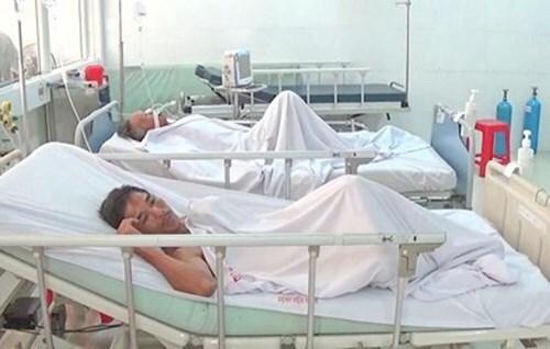 Nghệ An: 8 người nhập viện do ngộ độc cá nóc