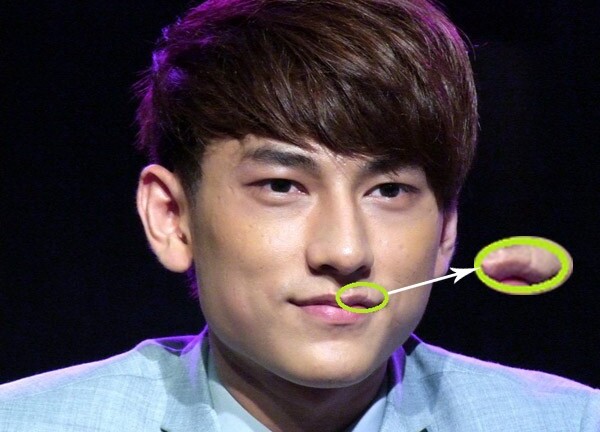 Những nét nhận dạng làm nên thương hiệu của nghệ sĩ Việt