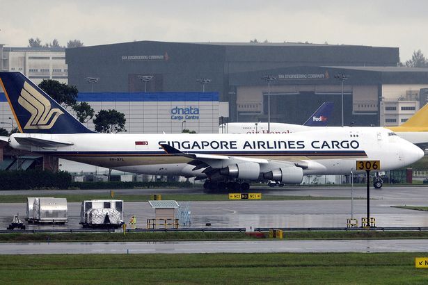 Máy bay hạ cánh khẩn cấp vì dê...“xì hơi”