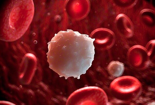 Đẩy lùi ung thư bằng việc tiêm tế bào máu trắng với protein đặc biệt