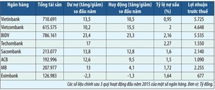 Lợi nhuận ngân hàng khởi sắc, vẫn còn nỗi lo mang tên