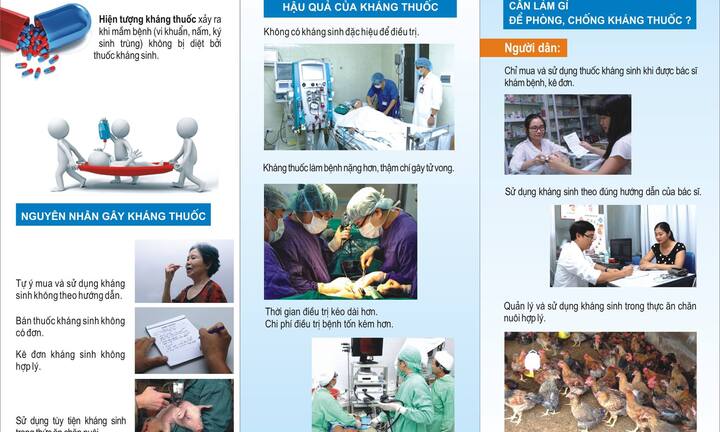Việt Nam phối hợp với WHO truyền thông phòng kháng thuốc