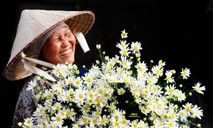 Đẹp mê hồn mỗi độ đông đến cúc họa mi về