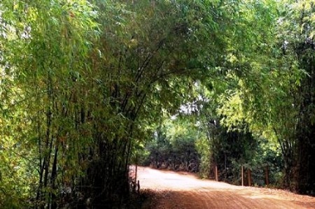 Phát hiện thi thể một kế toán trường học với nhiều vết đâm