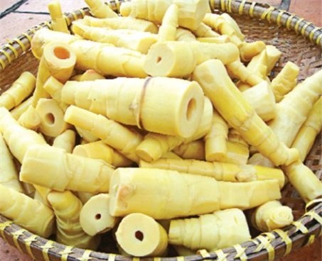 Tác hại kinh hoàng của việc 