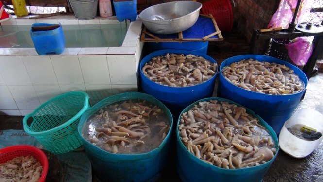 Bì lợn thối thành