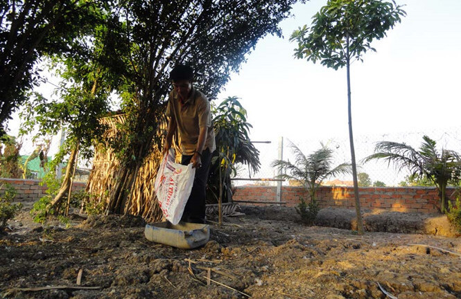 Kiểm tra, thẩm định hồ sơ vụ dựng chòi nuôi vịt bị khởi tố